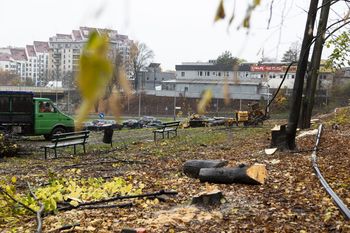 Kraków: Wielka wycinka drzew przy stacji kolejowej w Bronowicach. Już szykują się do budowy węzła i parkingu?