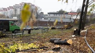 Kraków: Wielka wycinka drzew przy stacji kolejowej w Bronowicach. Już szykują się do budowy węzła i parkingu?