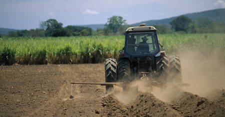 Wsparcie młodych rolników. Premie nawet do 200 tys. zł