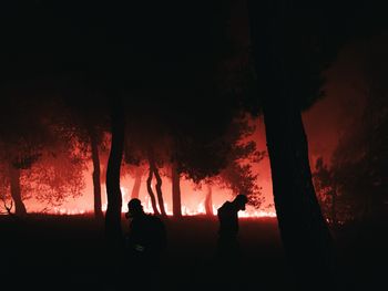 Żywioł szaleje w Grecji. Miejscowość Ari spłonęła doszczętnie