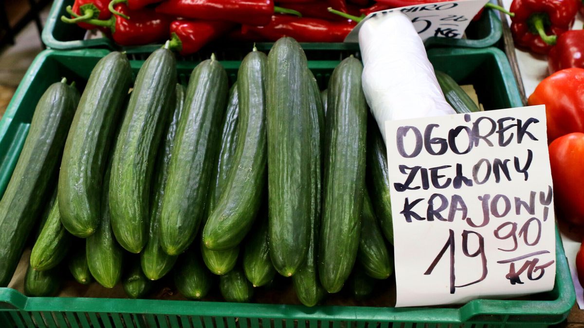 Wysokie ceny ogórków (zdj. ilustracyjne)