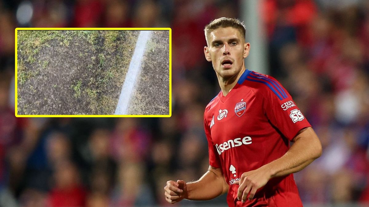 Getty Images / Grzegorz Wajda/SOPA Images/LightRocket / Na zdjęciu: Peter Barath, w ramce: stan murawy w Bułgarii