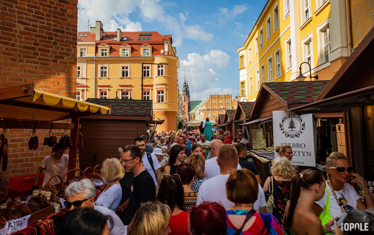 Tłumy turystów w Opolu