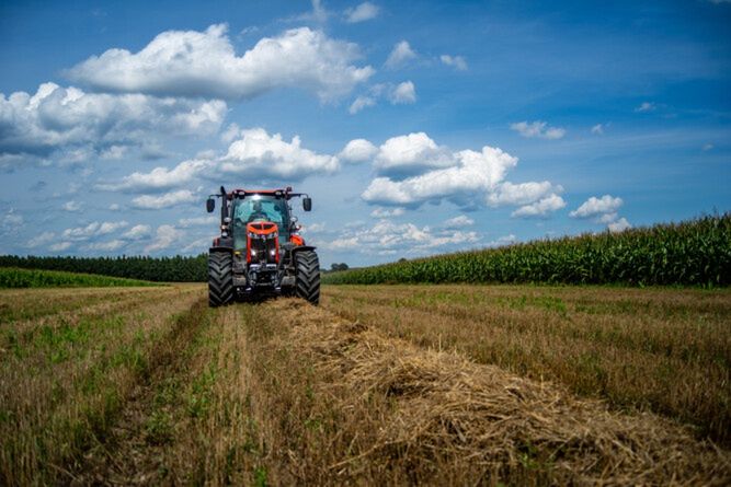 Premia dla młodych rolników 2025