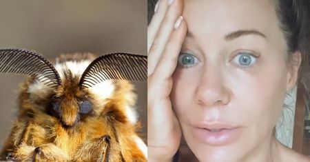 Niewyspana Małgorzata Rozenek opisuje meksykański HORROR: "Gdzieś tu była taka ćma, że myślałam, ŻE TO PTAK K*RWA"