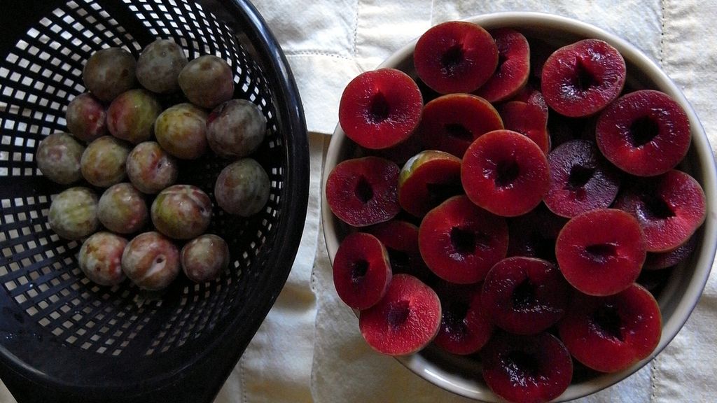 Śliwki w puszce w soku (owoce i płyn)