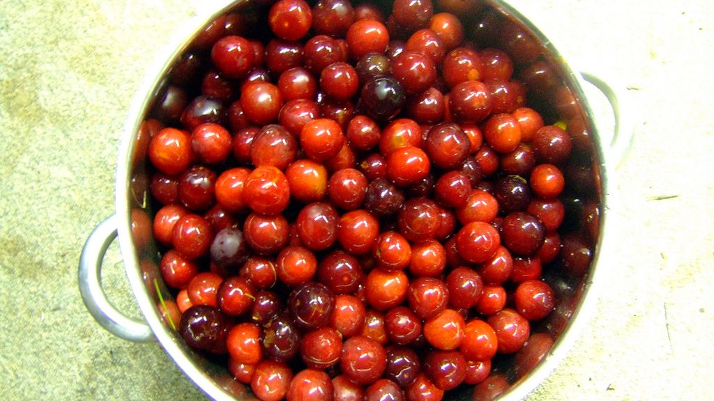 Śliwki w puszce w ciężkim syropie (owoce i płyn)