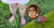 Zatrzęsienie przypadków KZM. Do zakażeń dochodzi praktycznie wszędzie