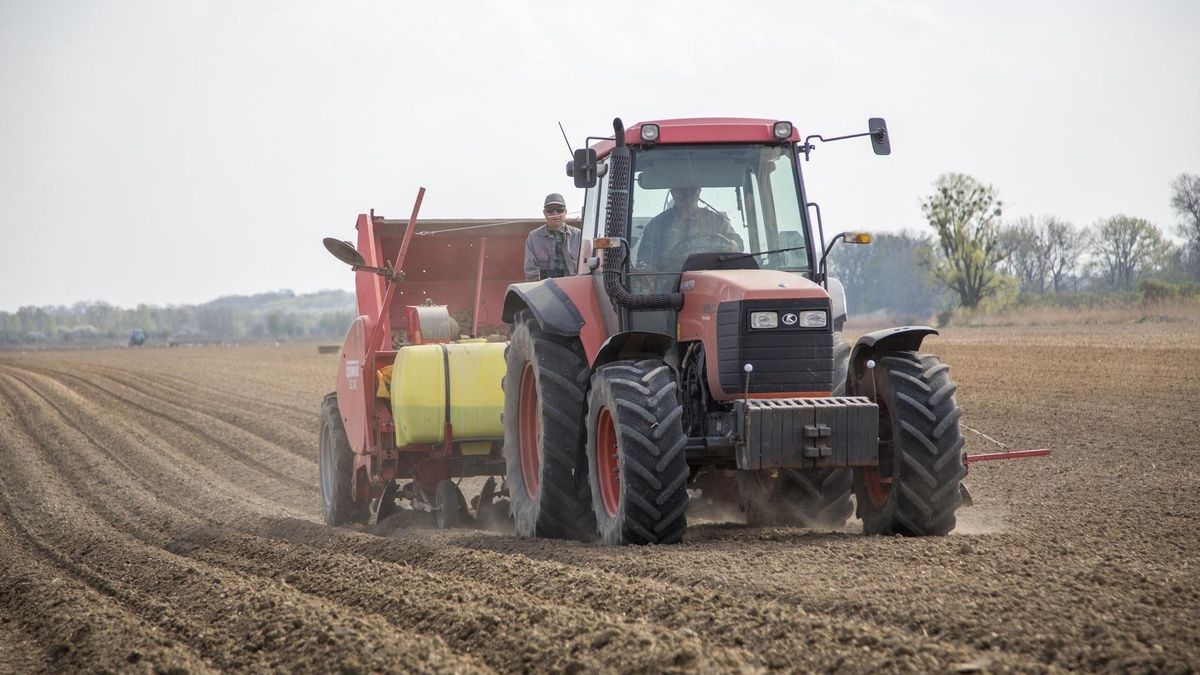 By dostać emeryturę KRUS, trzeba na przykład oddać ziemię dzieciom. Jak to zrobić, jesli wyjechały za granicę?