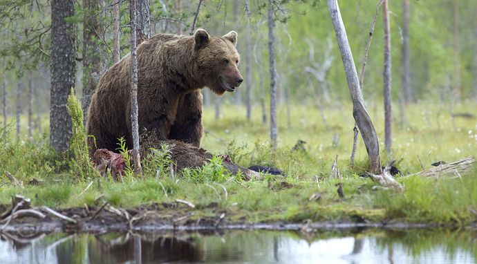 Natura. Proces ciągłej zmiany