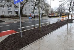 Warszawa. Saska eksploduje wiosenną zielenią. Tak chcieli warszawiacy