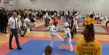 Szczecinek: V Kyokushin Cup. 273 zawodników i mocne wyniki