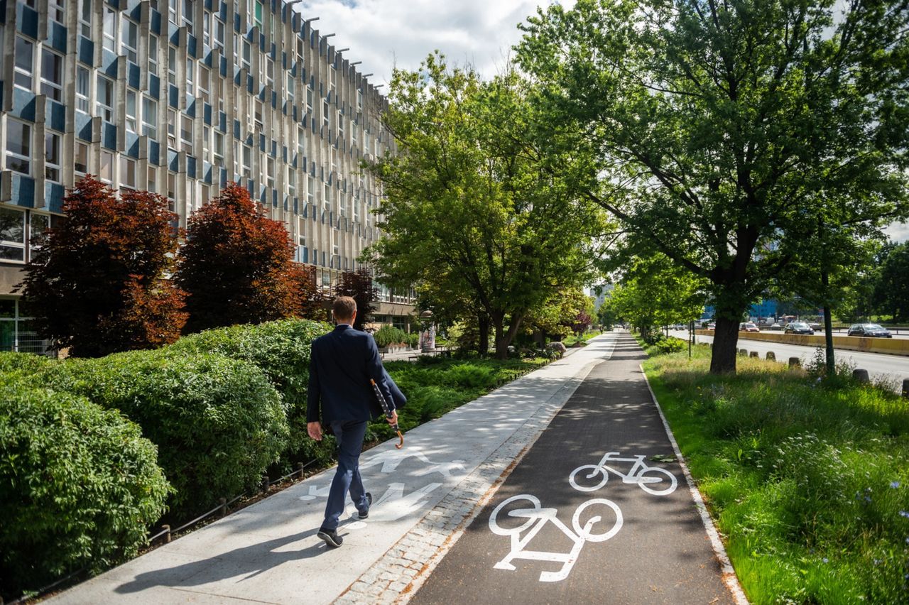 Warszawa. Gotowy projekt “Dobre chodniki dla Politechniki”