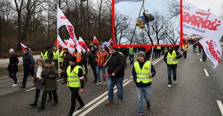 Rolnicy powiesili Kaczora Donalda