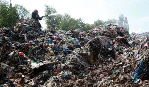 Śmieciowy problem polityków. "Rząd zgotował katastrofę"