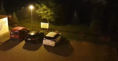 Lublin. Kto spotyka w mieście dzika… Nocny spacer rodziny dzików po osiedlu
