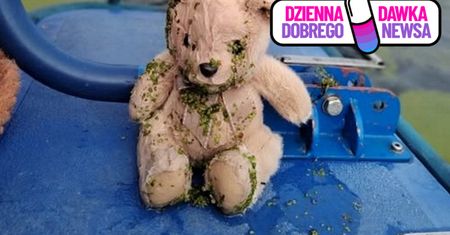 Wyłowiony z Motławy. Szuka przyjaciela