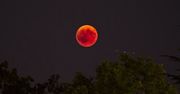 Niezwykły Księżyc już 7 września. Będzie widoczny też z Polski