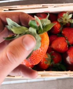 Zagraniczna truskawka sprzedawana jako polska. Jak nie dać się oszukać?