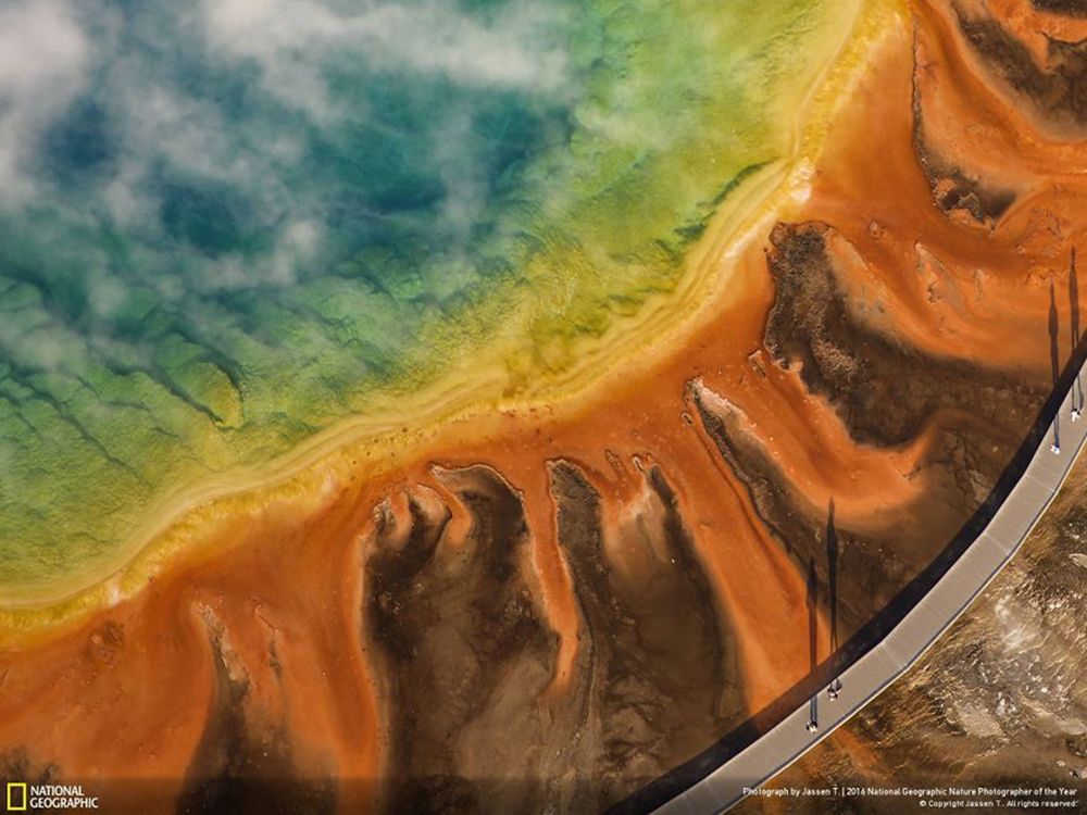 Fotografie natury, która nie przestaje zachwycać. Oto finałowe prace konkursu National Geographic Nature Photographer of the Year 2016 35