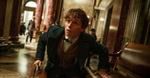 ''Fantastyczne zwierzęta i jak je znaleźć'': Eddie Redmayne jak Harry Potter [ZWIASTUN]
