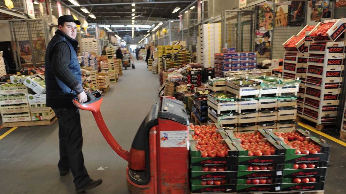 Najwięcej przetworzonych owoców i warzyw eksportują firmy z województwa lubelskiego