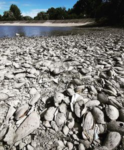 Świdnica. Prace na zalewie Witoszówka pod znakiem zapytania. Brakuje pieniędzy