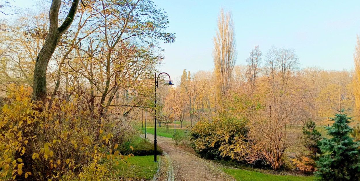 Włocławek: Czas na cieplejsze kurtki. Prognoza nie pozostawia złudzeń