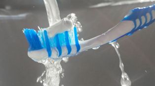Moczysz szczoteczkę przed myciem zębów? Dentysta komentuje