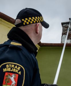 Trwają kontrole, kara to nawet 5 tys. zł. Co sprawdza straż miejska?