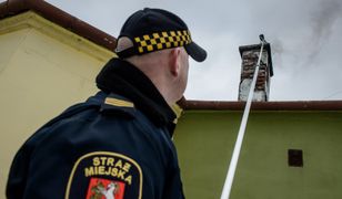 Trwają kontrole, kara to nawet 5 tys. zł. Co sprawdza straż miejska?