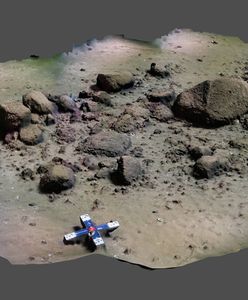 Pierwsze takie odkrycie w Bałtyku. Naukowcy są pewni