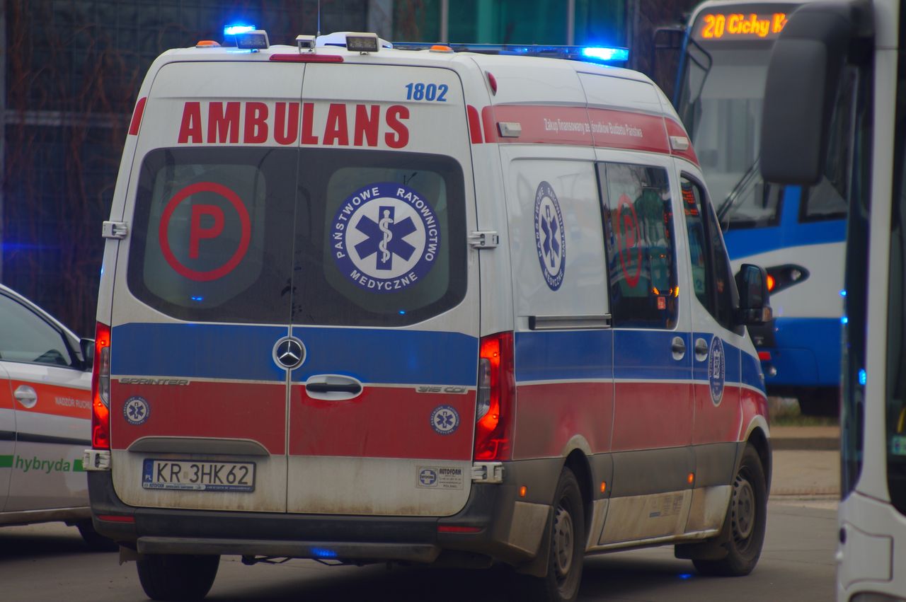 16-latek ukąszony przez żmiję lewantyńską. Chłopiec walczy o życie