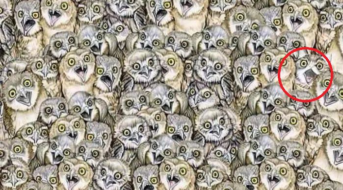 Rozwiązanie zagadki 