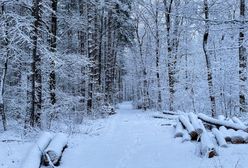 Pogoda na wtorek. Front atmosferyczny z opadami śniegu