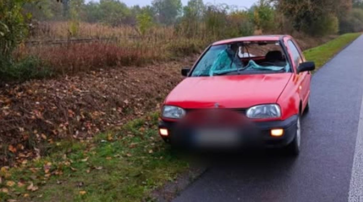 Uderzył w sarnę pod Koninem. Kierowca trafił do szpitala