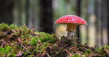 Temperatura przekroczy 20 stopni. Prognoza na najbliższe dni