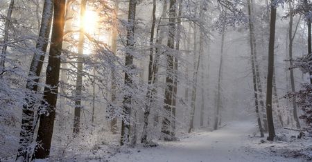 W weekend lokalne opady śniegu, a także mróz w najcieplejszym momencie dnia. Prognoza pogody na najbliższe dni