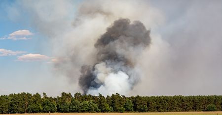 Ogromny pożar w Kutnie:  Hala produkcji chemii samochodowej w płomieniach