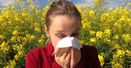 Alergia kontra astma: czym się różnią i jak je leczyć?
