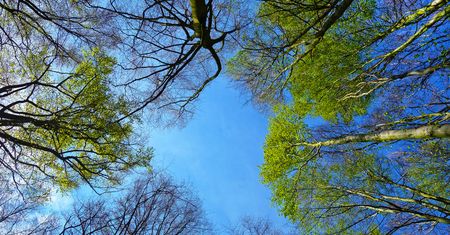 Poniedziałek będzie pogodny. Ciepły początek tygodnia, potem ochłodzenie