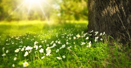 Weekend chłodniejszy, później szybki wzrost temperatury powyżej 30 stopni