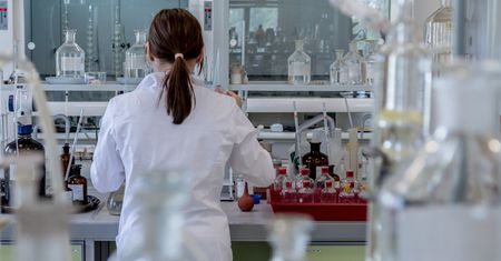 Chirurdzy ze szpitala klinicznego dostali grant na nowatorskie leczenie trzustki we Wrocławiu