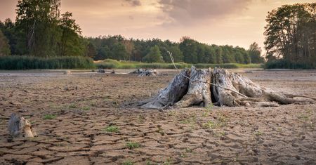 Kryzys klimatyczny większym wyzwaniem niż pandemia Covid