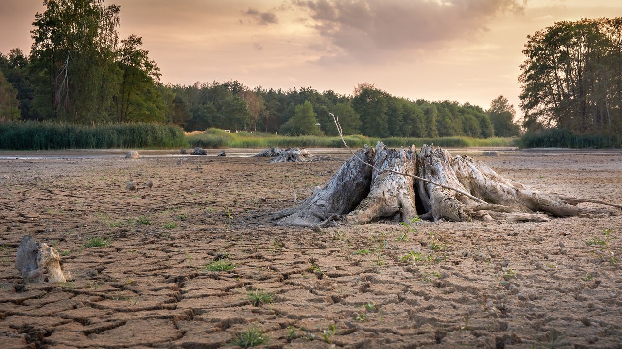 Kryzys klimatyczny większym wyzwaniem niż pandemia Covid