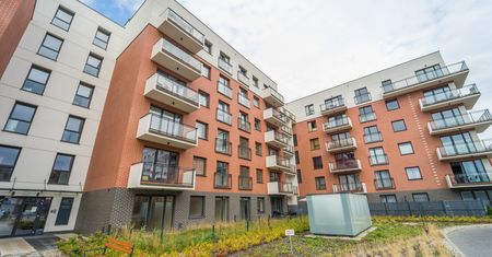 Haczyk w rządowym programie. "Trzeba będzie spieszyć się z wnioskiem"