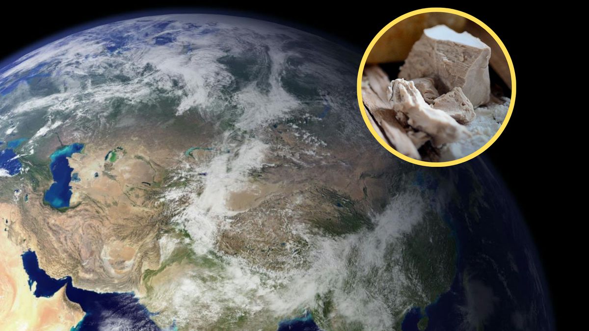 Polscy naukowcy wyślą w kosmos drożdże 