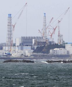 Awaria elektrowni w Fukushimie. Wybudują tunel, by spuścić do morza skażoną wodę