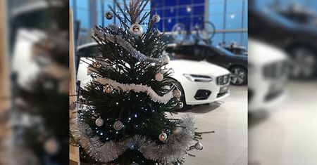 Lublin: Nie masz choinki na święta? Zamiast kupować, wypożycz ją od Volvo
