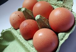 Cena jajek w 2023 osiągnie rekord? Nadciąga widmo kryzysu